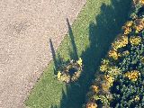 Schatten, die dritte Dimension