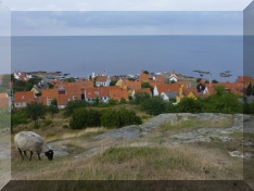 Bericht&nbsp;Bornholm&nbsp;2016