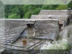 Bericht&nbsp;Sommerwanderung&nbsp;2008
