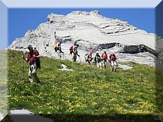 Bericht&nbsp;Sommerwanderung&nbsp;2012