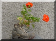 Videos und Berichte Wanderferien 1995 bis 2020