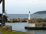 Hafen-Leuchtturm