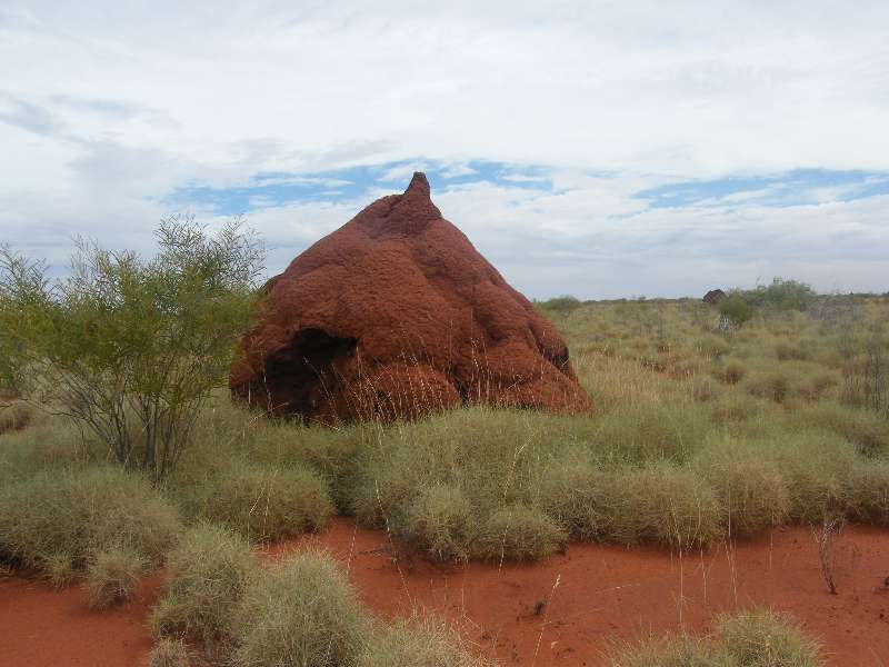 du-au032.jpg
