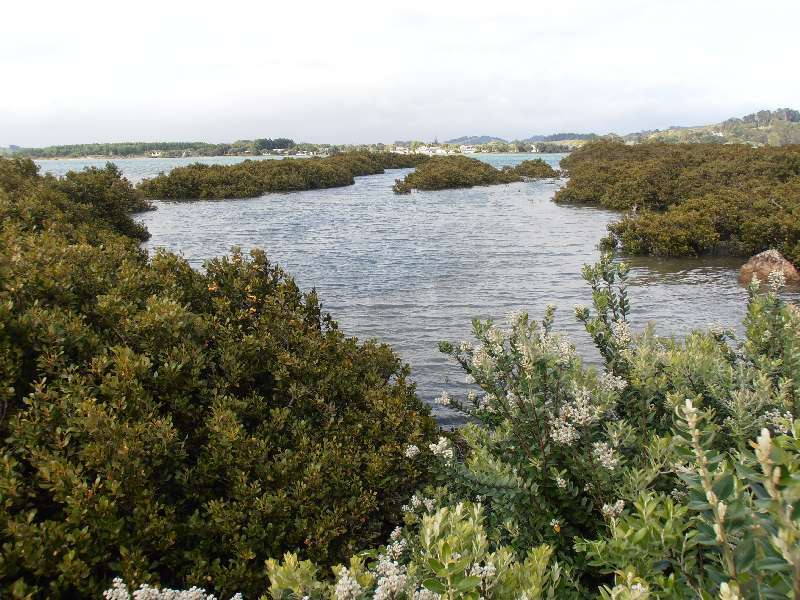 du-nz037.jpg