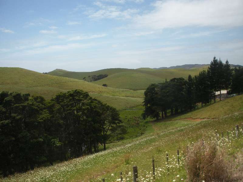 du-nz046.jpg