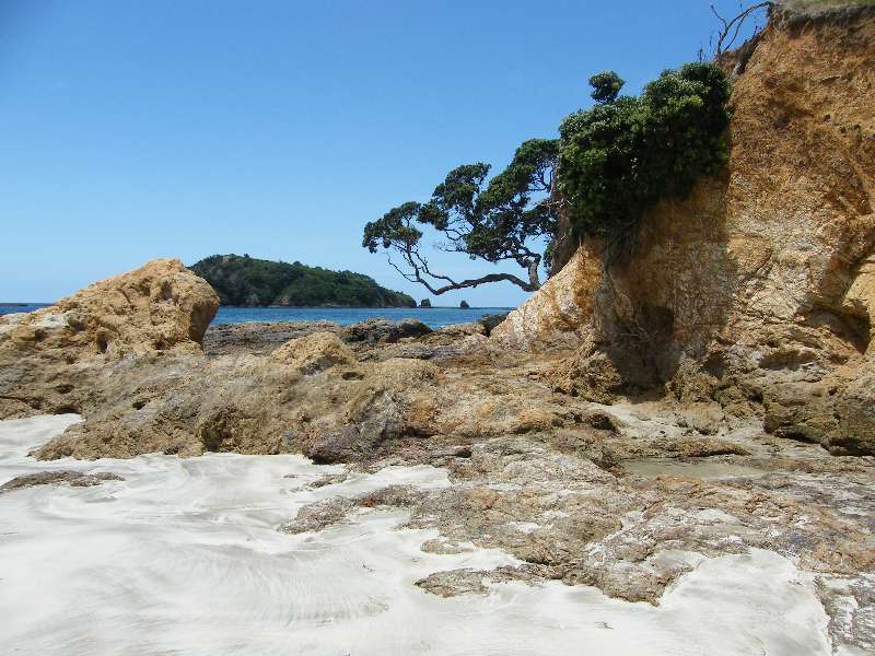 du-nz049.jpg