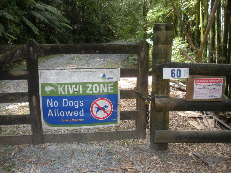 du-nz054.jpg