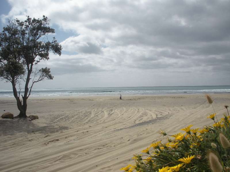 du-nz064.jpg