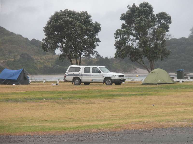 du-nz082.jpg