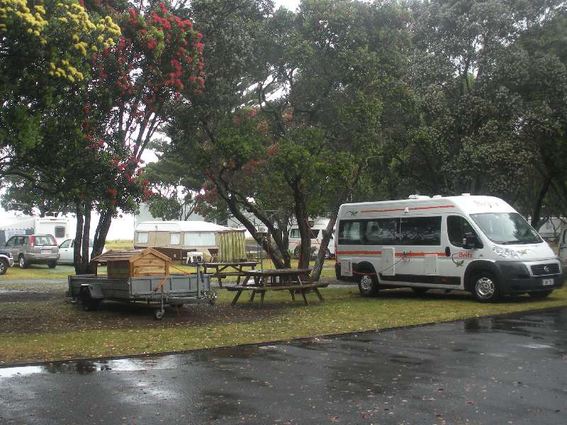 du-nz085.jpg