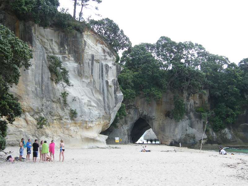 du-nz153.jpg