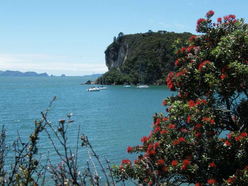 du-nz161.jpg
