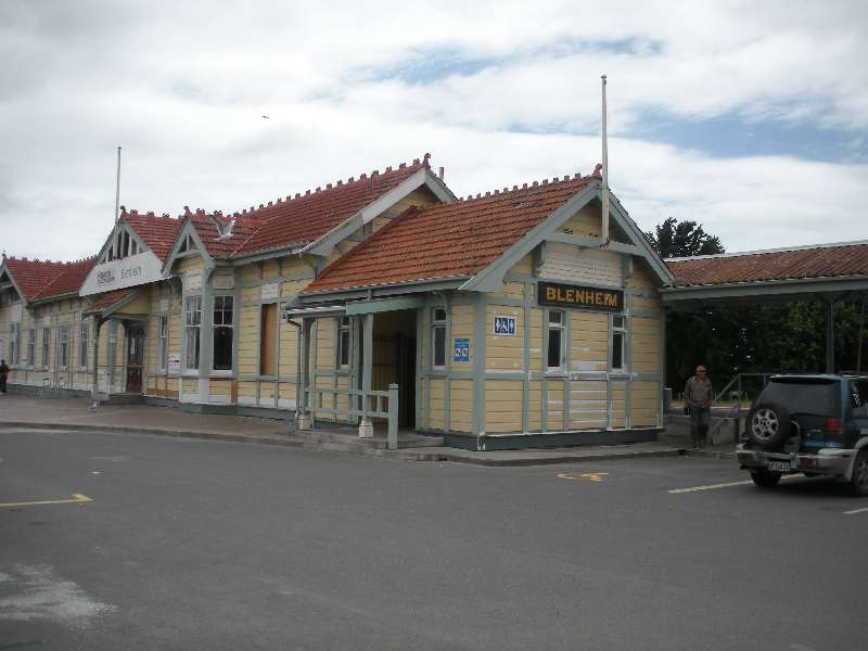 du-nz233.jpg