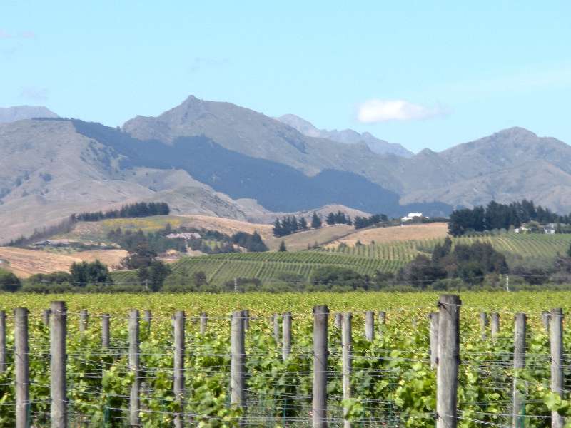 du-nz236.jpg