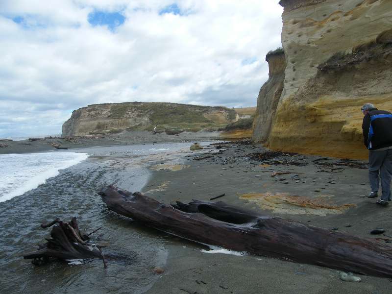 du-nz318.jpg