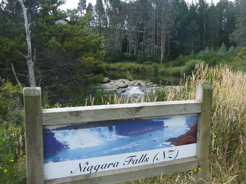 du-nz325.jpg