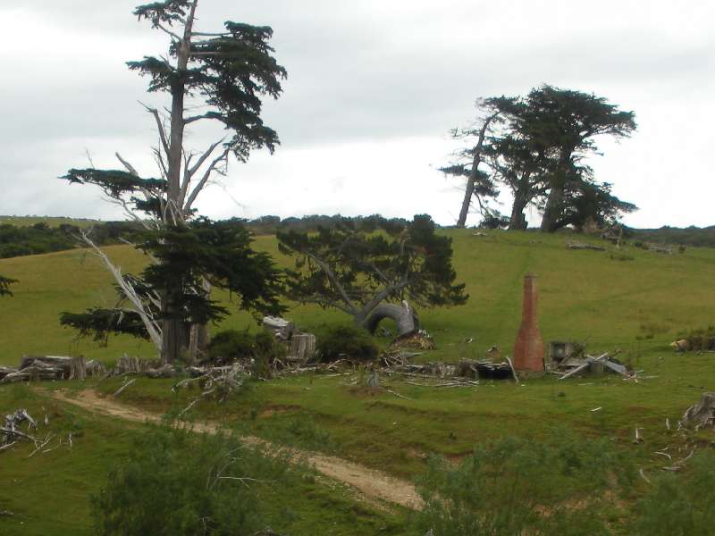 du-nz327.jpg