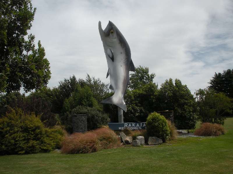 du-nz359.jpg