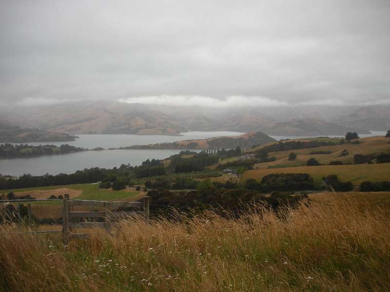 du-nz362.jpg