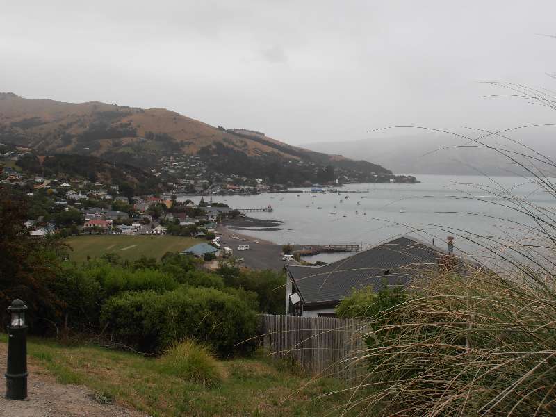 du-nz363.jpg
