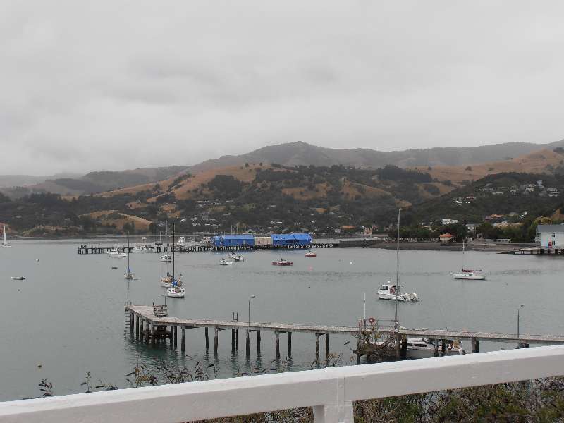 du-nz364.jpg