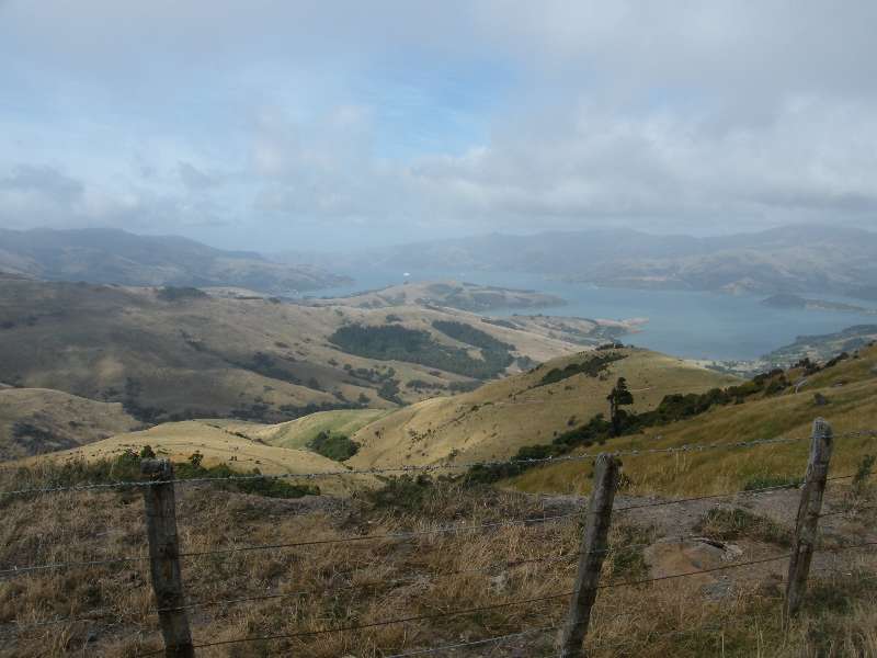 du-nz366.jpg