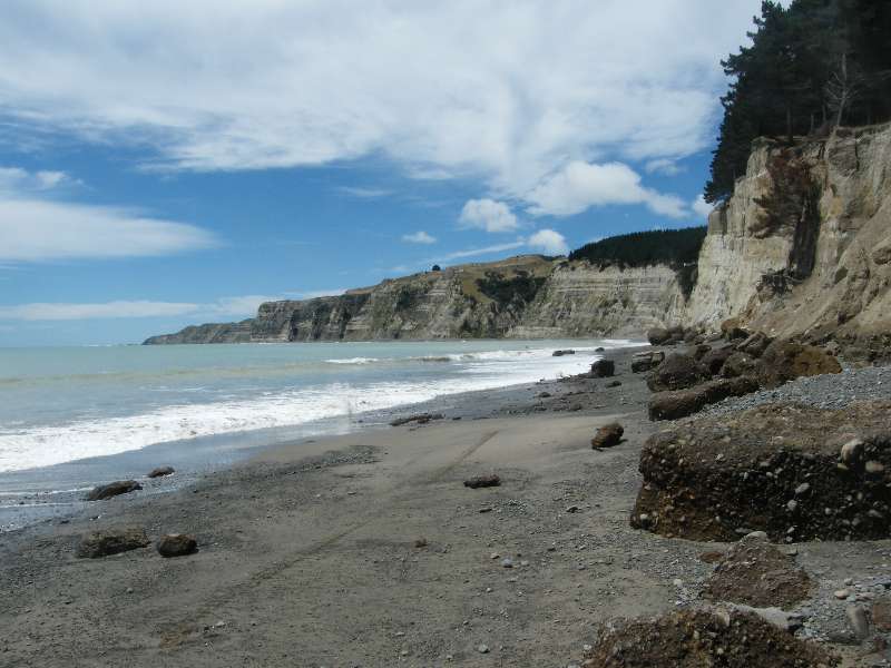 du-nz417.jpg