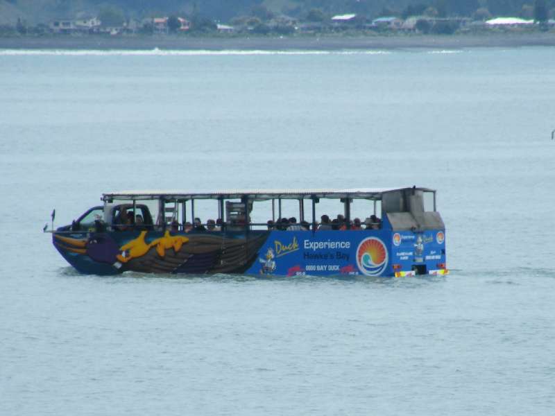 du-nz424.jpg