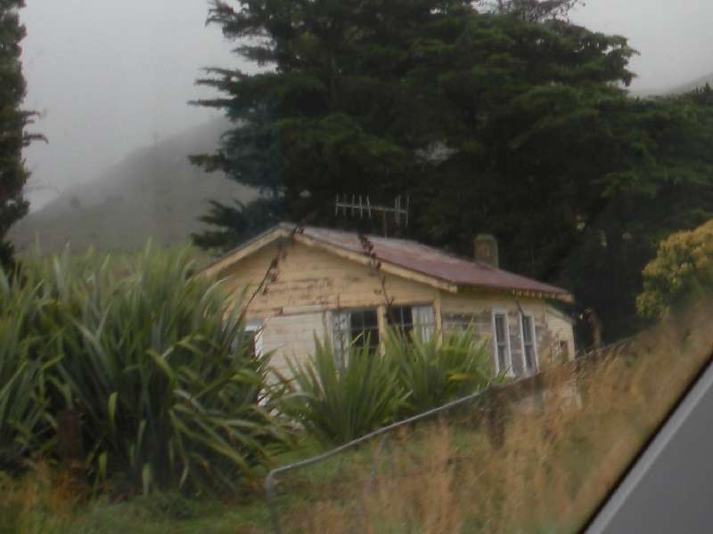 du-nz427.jpg