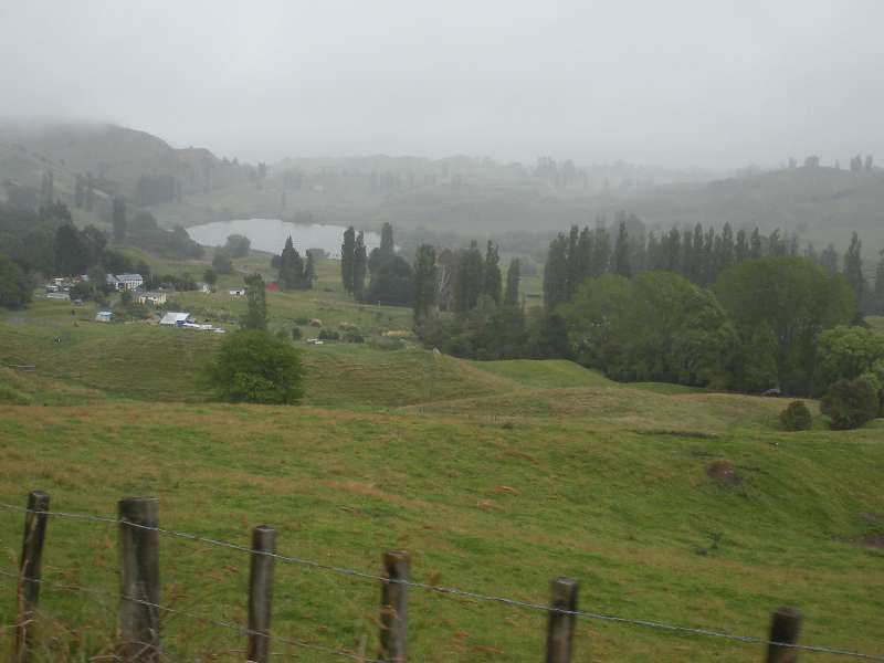 du-nz428.jpg