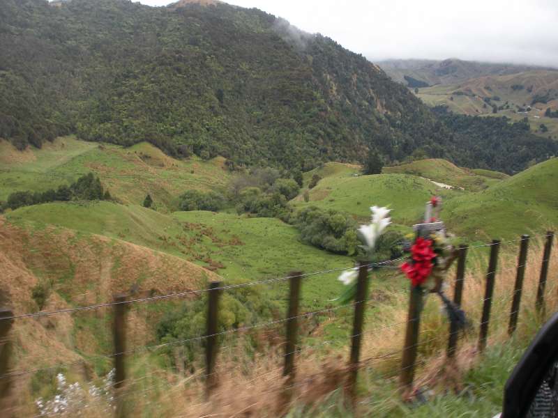 du-nz429.jpg
