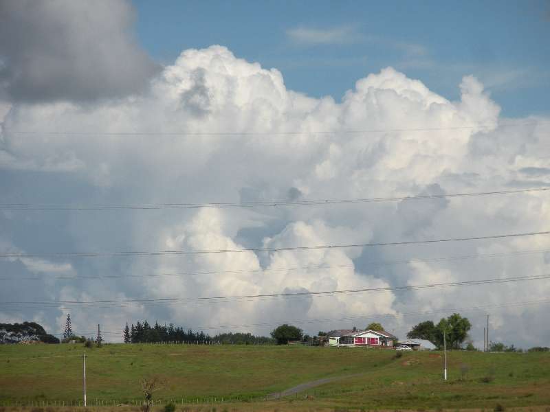 du-nz457.jpg