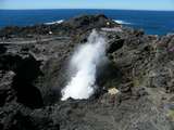 das Blowhole