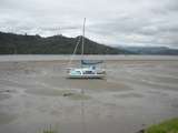 das Meer bei Whitianga