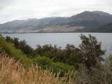 am Wanaka-See