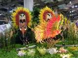 Orchideen-Ausstellung