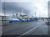 im Hafen Brygge