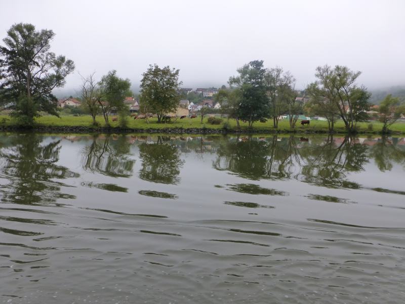 main053.jpg