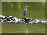 weiter auf dem Wasser
