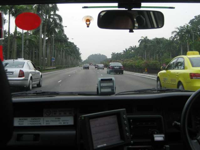 nz003.jpg