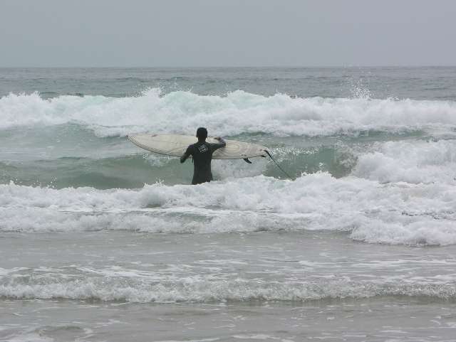 nz052.jpg