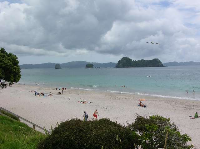 nz053.jpg