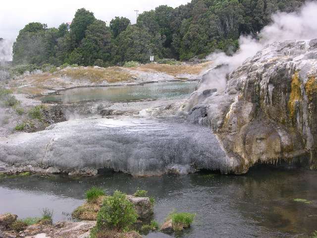 nz101.jpg