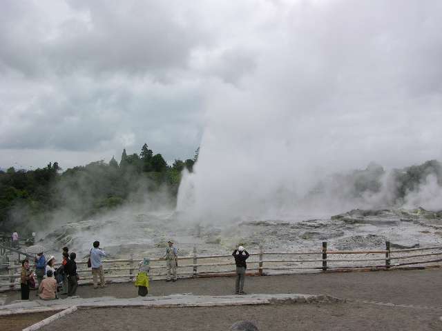 nz103.jpg