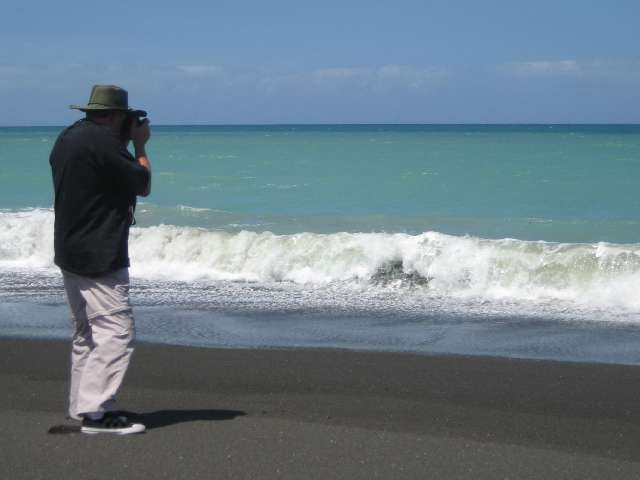 nz150.jpg