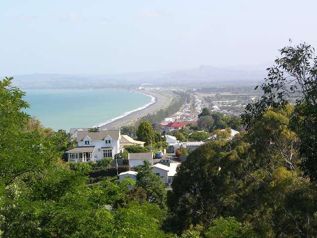 nz159.jpg