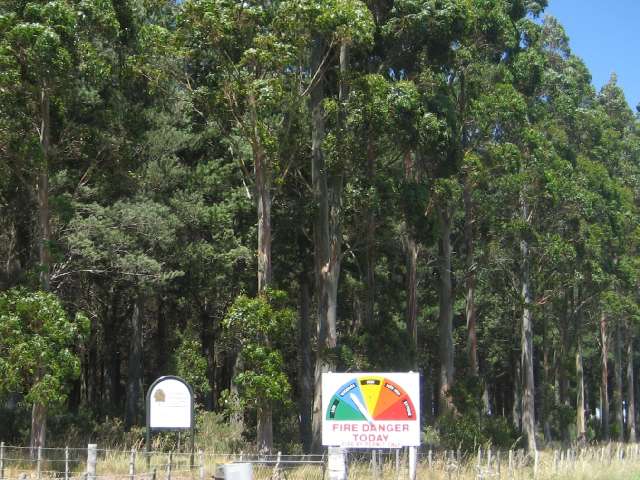 nz172.jpg