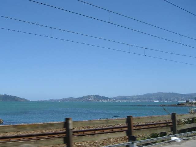 nz173.jpg