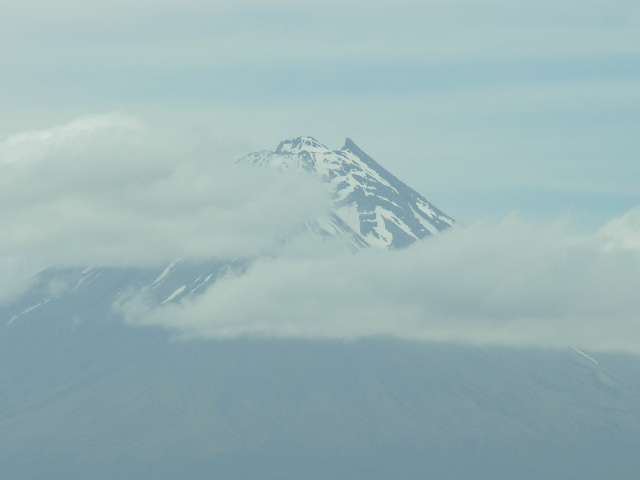 nz212.jpg