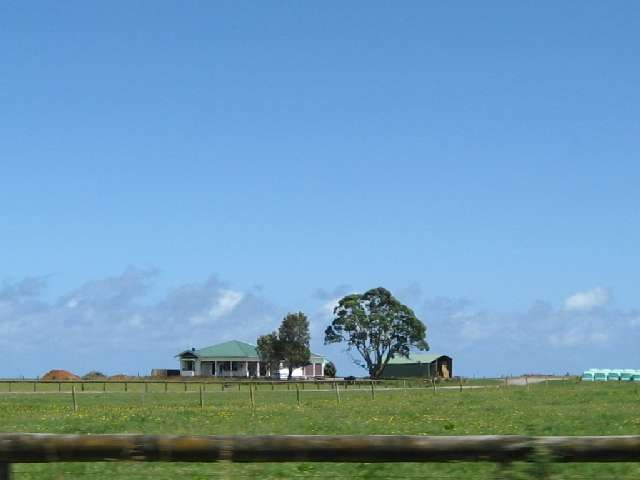 nz223.jpg